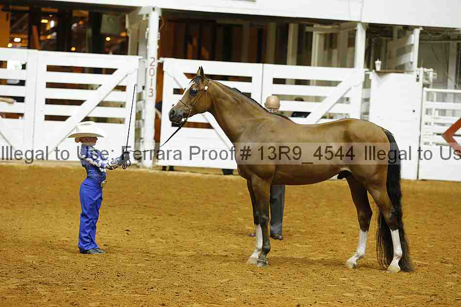 Proof Number 13r9_4544