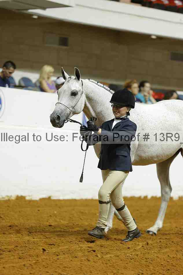 Proof Number 13r9_4557