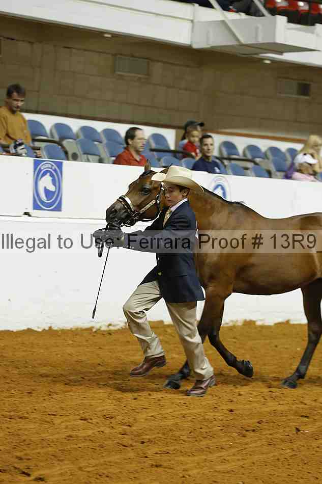 Proof Number 13r9_4567