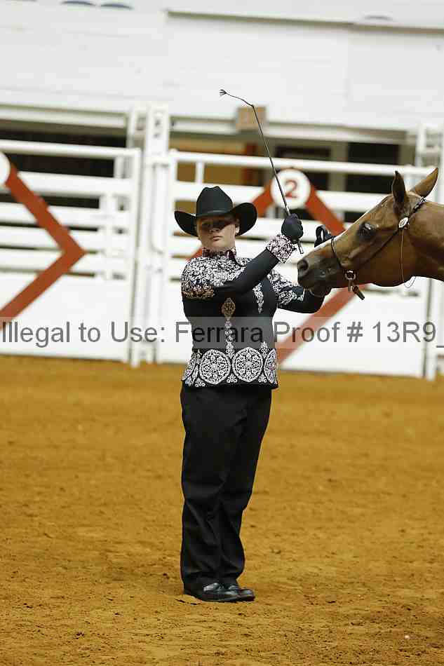 Proof Number 13r9_4570