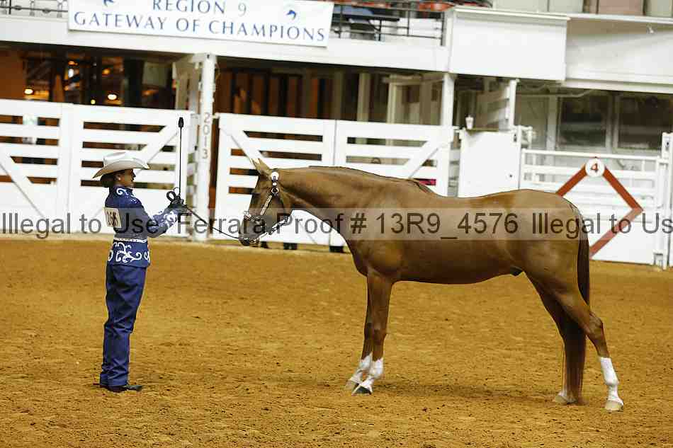 Proof Number 13r9_4576