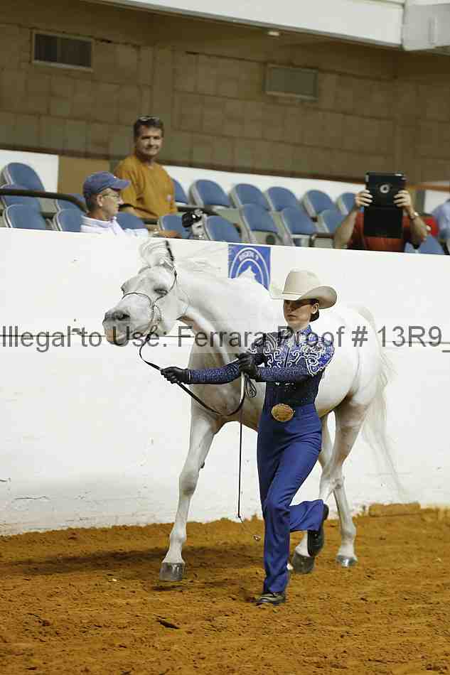 Proof Number 13r9_4586