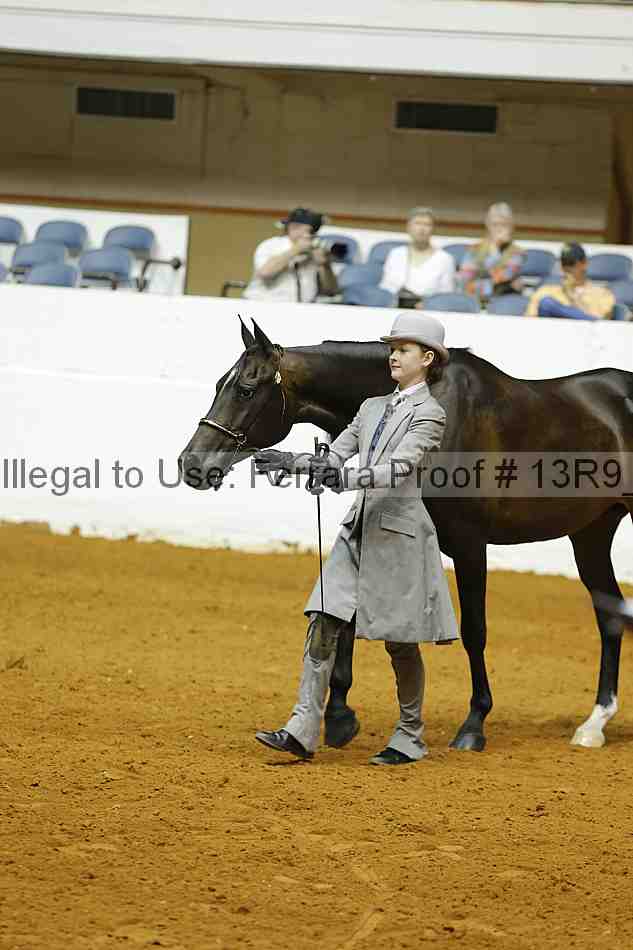 Proof Number 13r9_4589