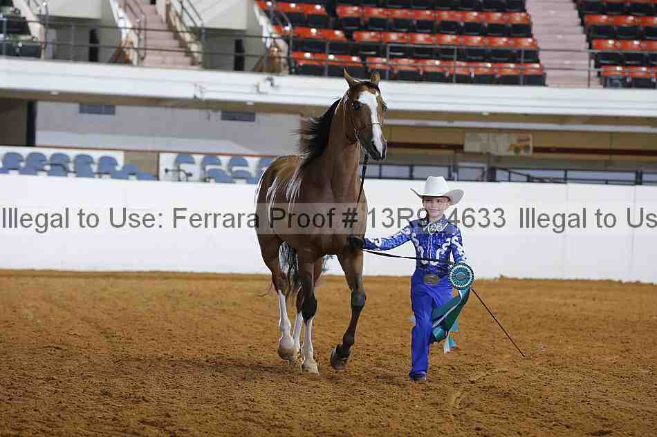 Proof Number 13r9_4633