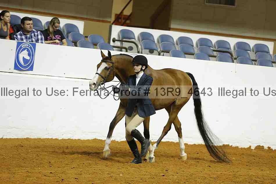 Proof Number 13r9_4643
