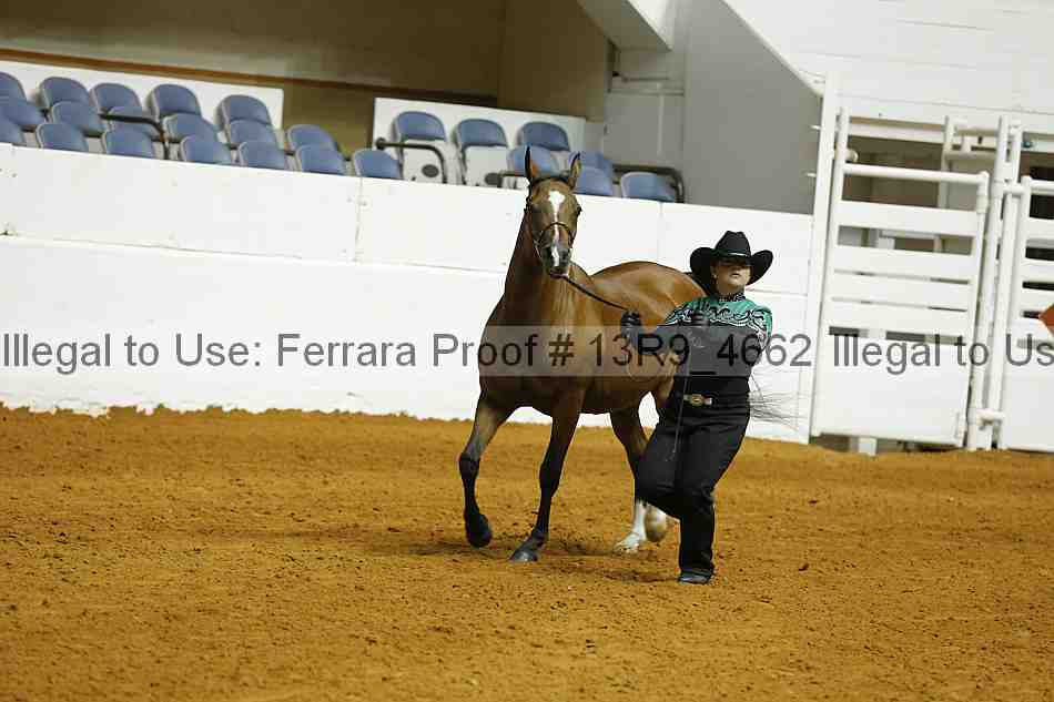 Proof Number 13r9_4662
