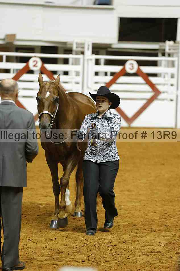 Proof Number 13r9_4671