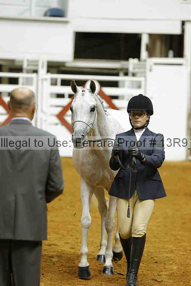 Proof Number 13r9_4676