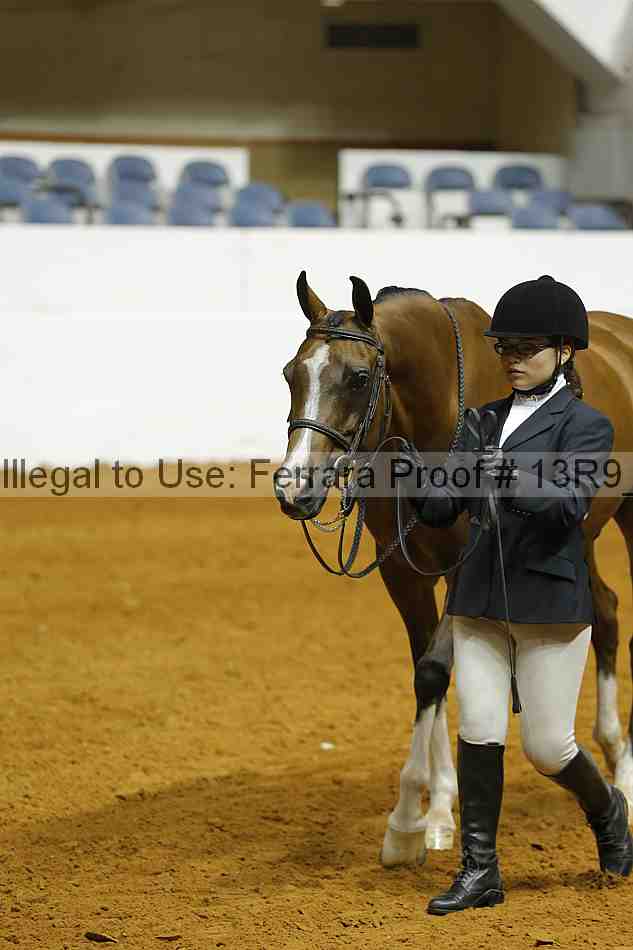 Proof Number 13r9_4682