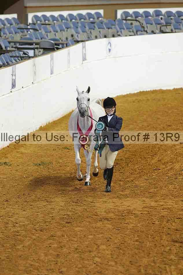 Proof Number 13r9_4729