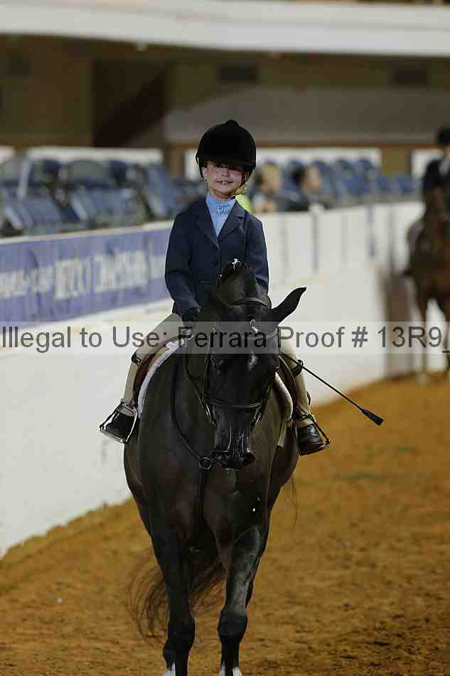 Proof Number 13r9_4778