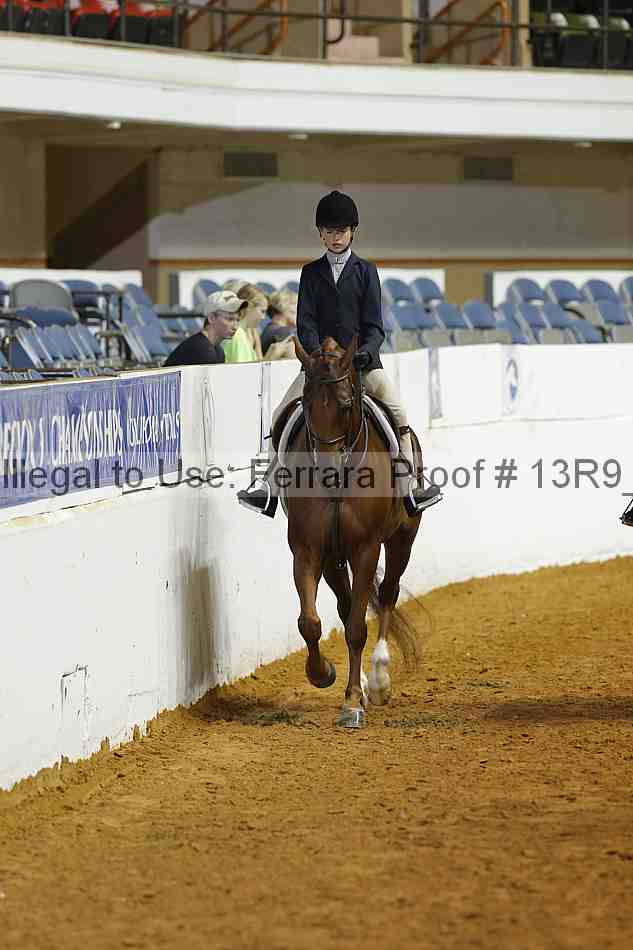 Proof Number 13r9_4781