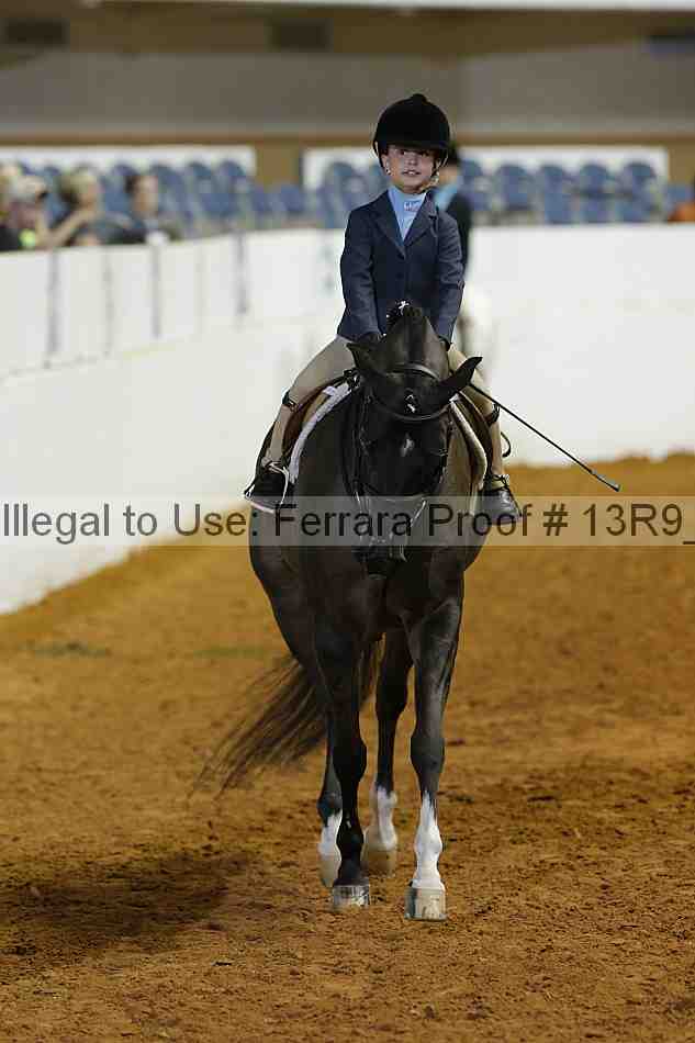Proof Number 13r9_4794