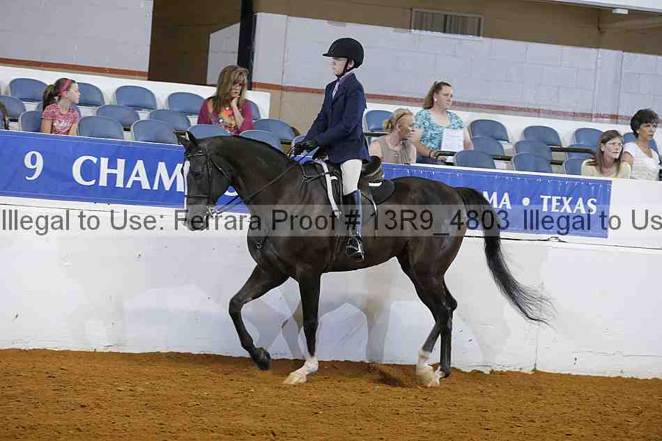 Proof Number 13r9_4803