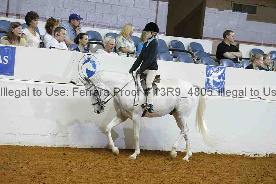 Proof Number 13r9_4805