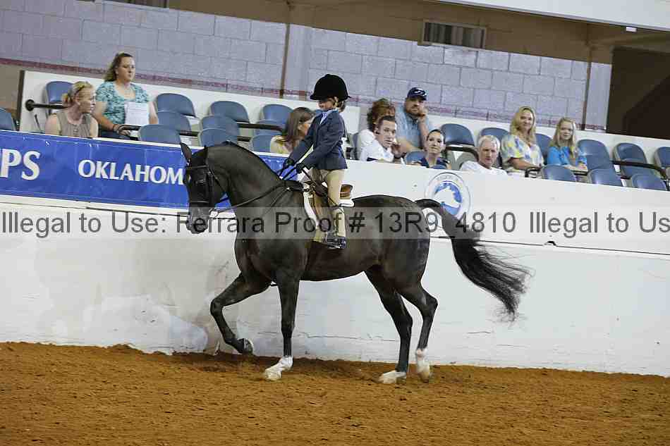Proof Number 13r9_4810