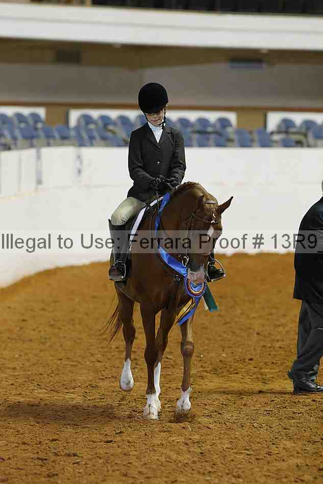Proof Number 13r9_4828