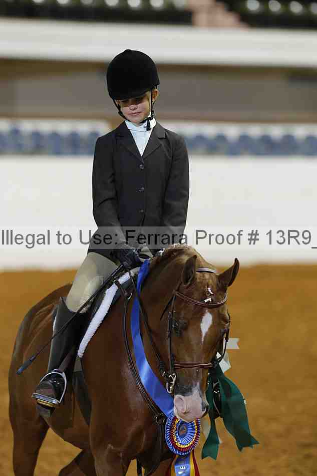 Proof Number 13r9_4829