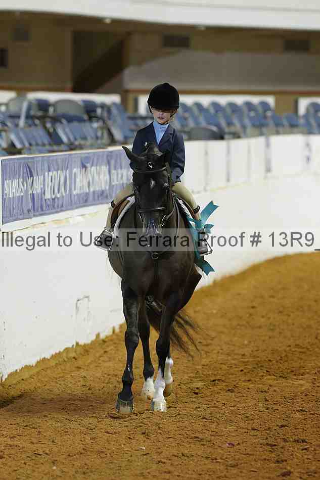 Proof Number 13r9_4833