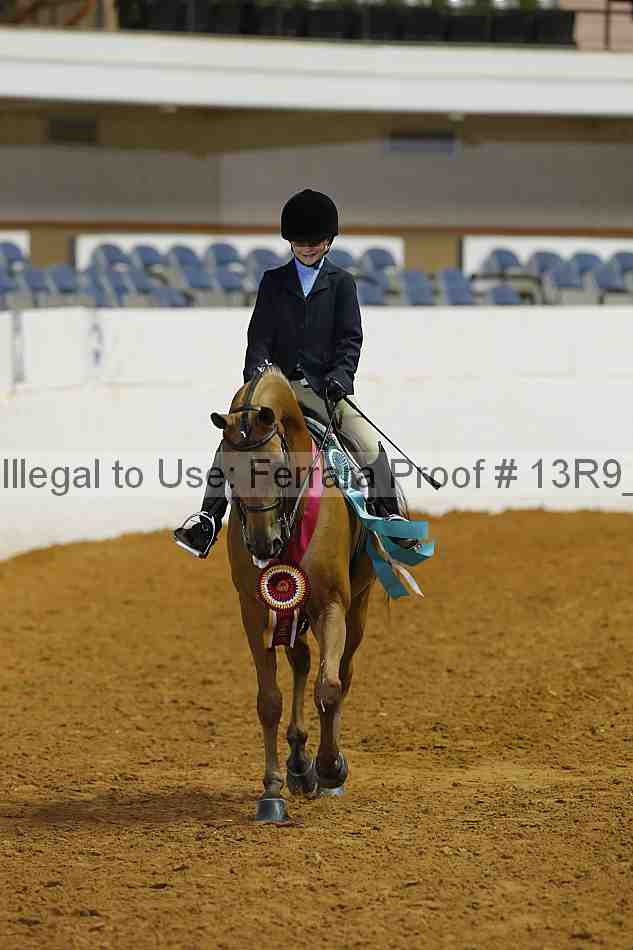 Proof Number 13r9_4846