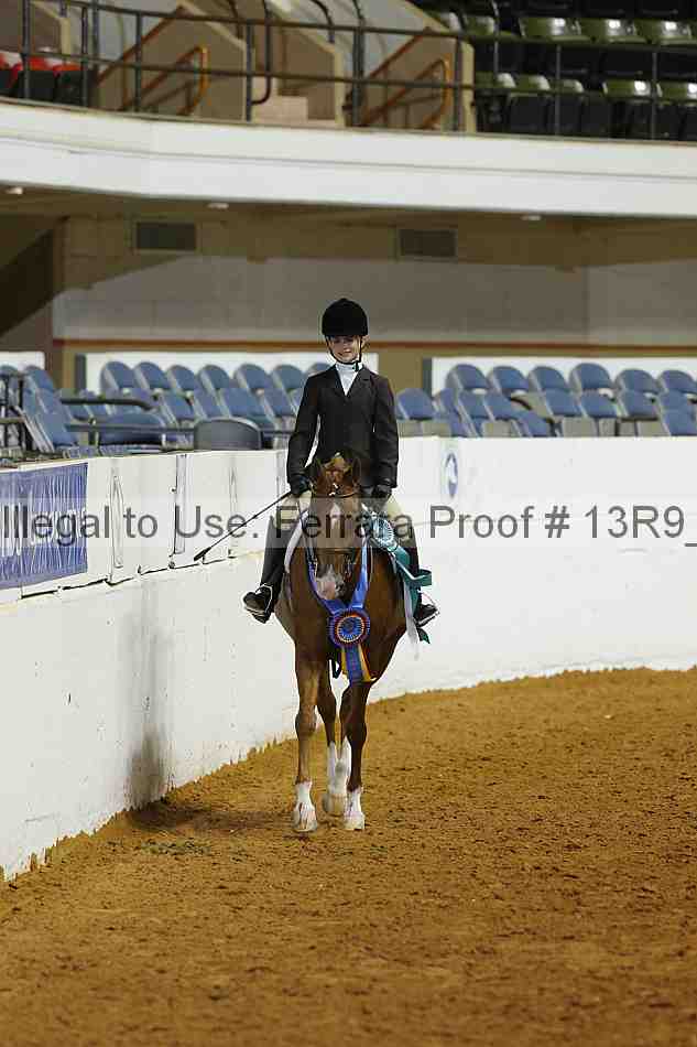 Proof Number 13r9_4851