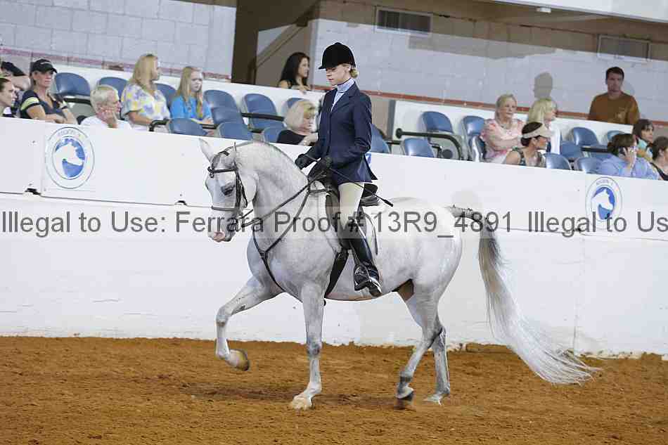 Proof Number 13r9_4891