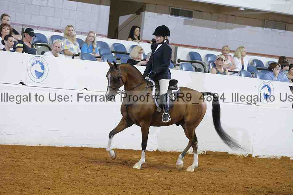Proof Number 13r9_4894