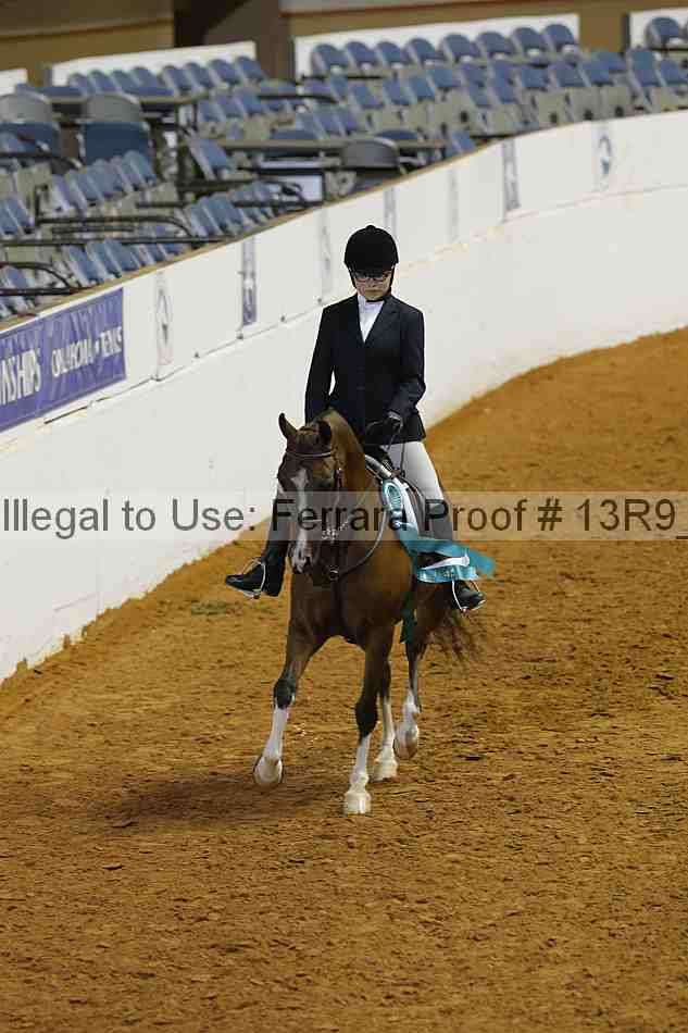 Proof Number 13r9_4913