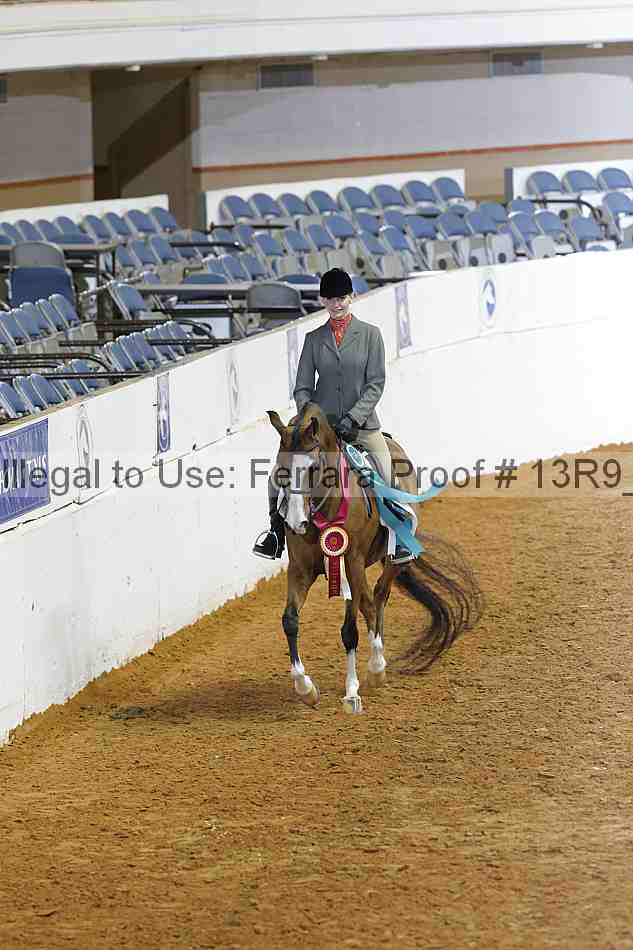 Proof Number 13r9_4923