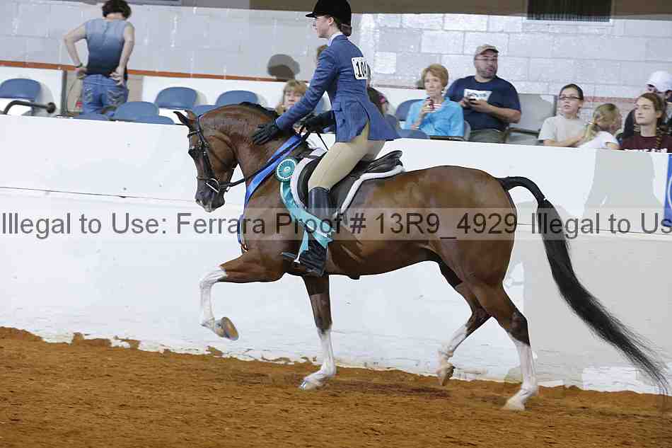 Proof Number 13r9_4929