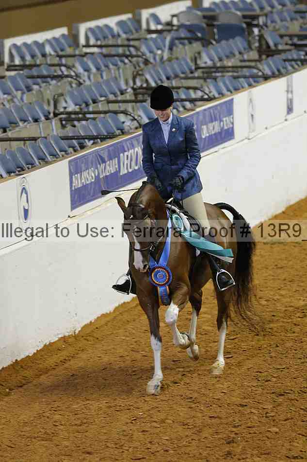 Proof Number 13r9_4931