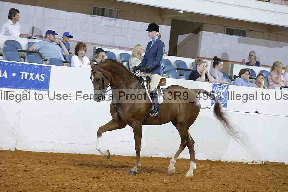 Proof Number 13r9_4958