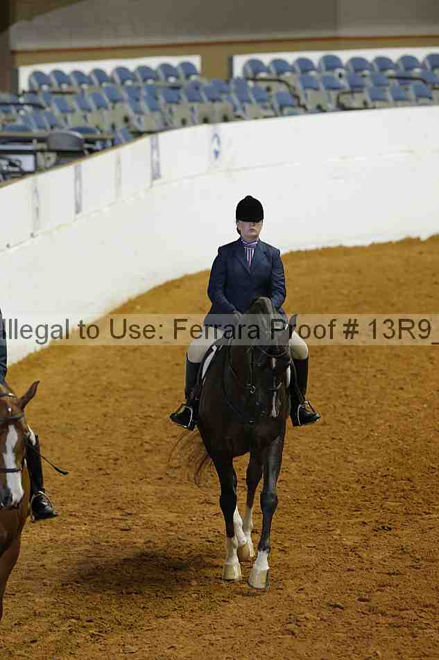 Proof Number 13r9_4960