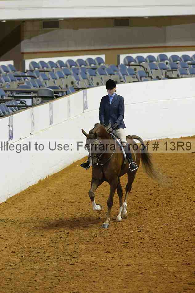 Proof Number 13r9_4966