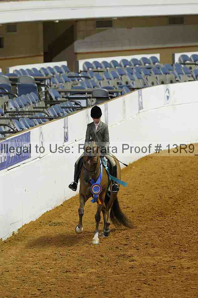 Proof Number 13r9_4995