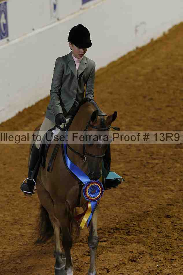 Proof Number 13r9_4997