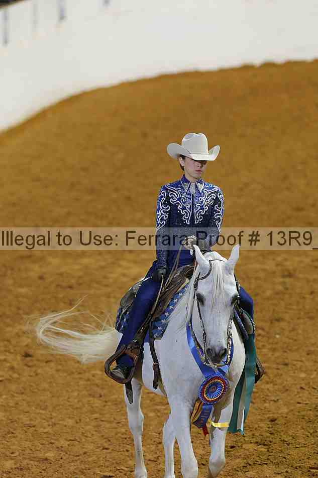 Proof Number 13r9_5026