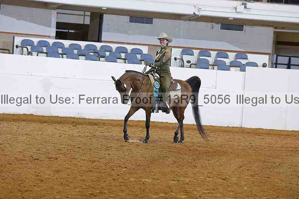 Proof Number 13r9_5056