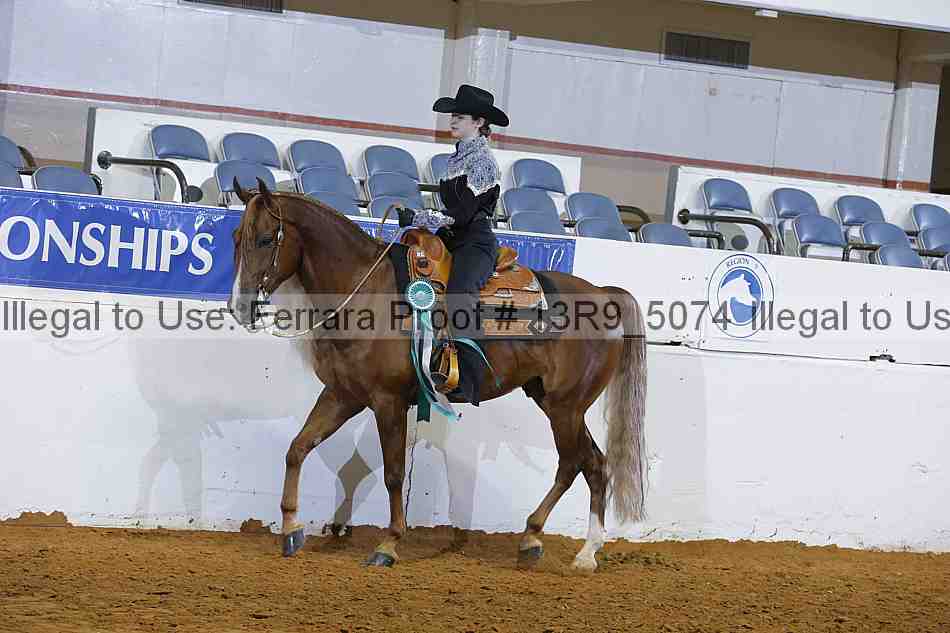 Proof Number 13r9_5074