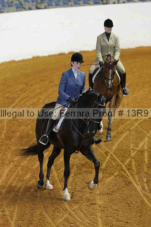 Proof Number 13r9_5130