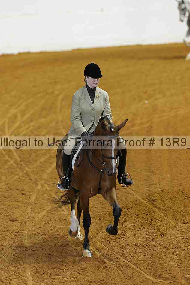 Proof Number 13r9_5133