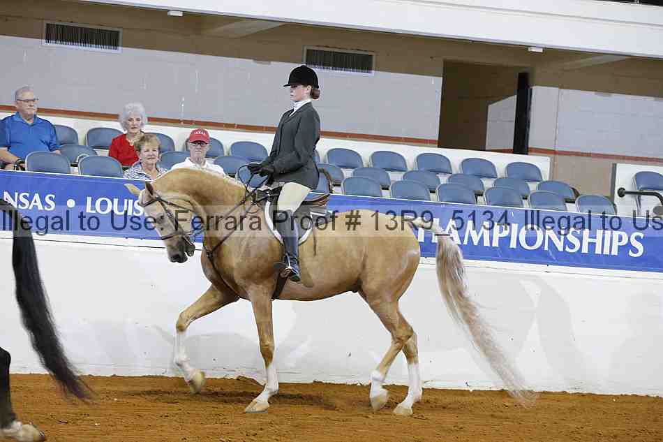 Proof Number 13r9_5134