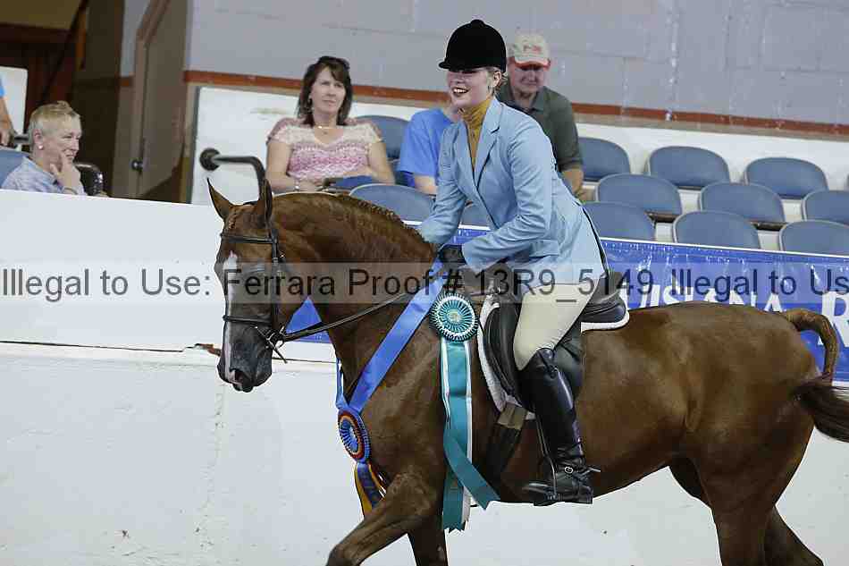 Proof Number 13r9_5149