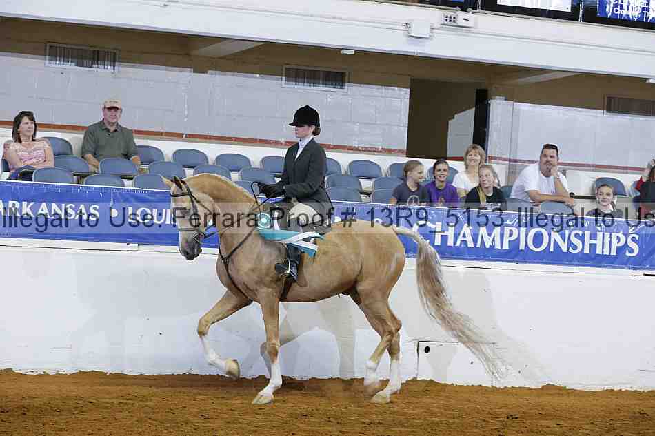 Proof Number 13r9_5153