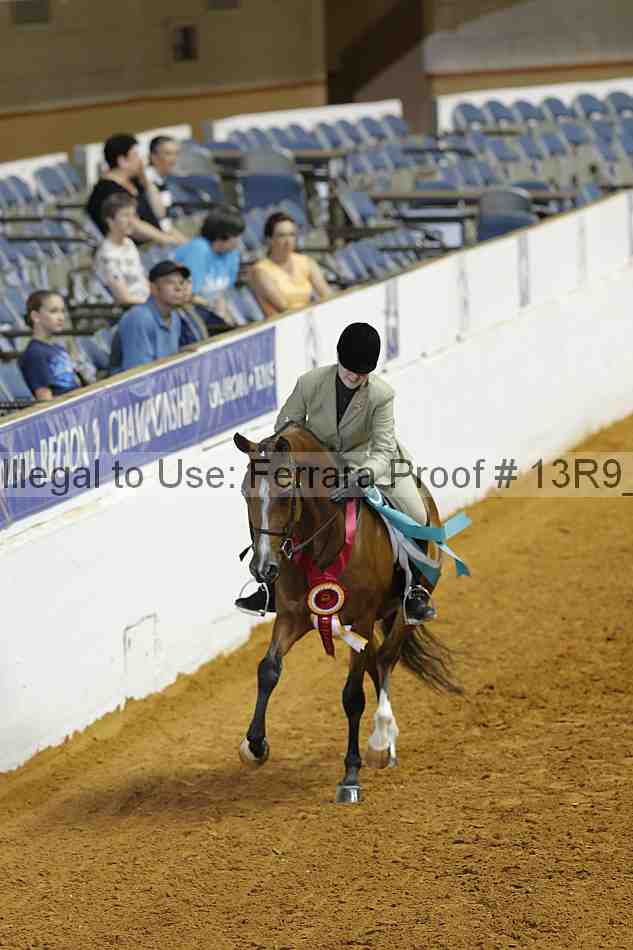 Proof Number 13r9_5165