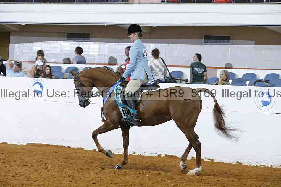 Proof Number 13r9_5169