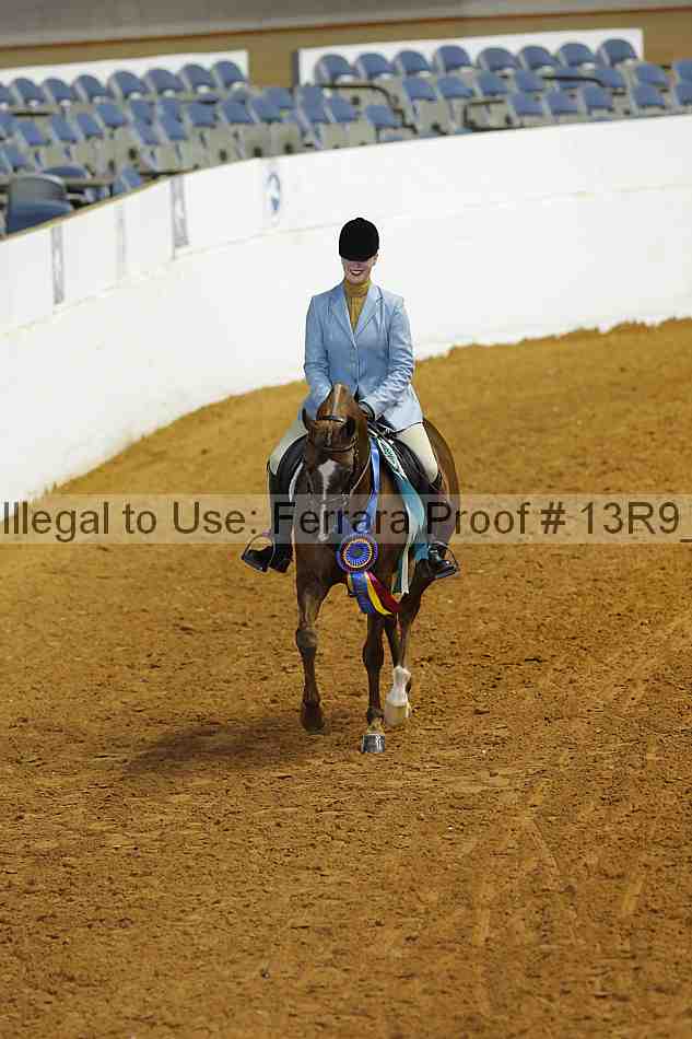 Proof Number 13r9_5170