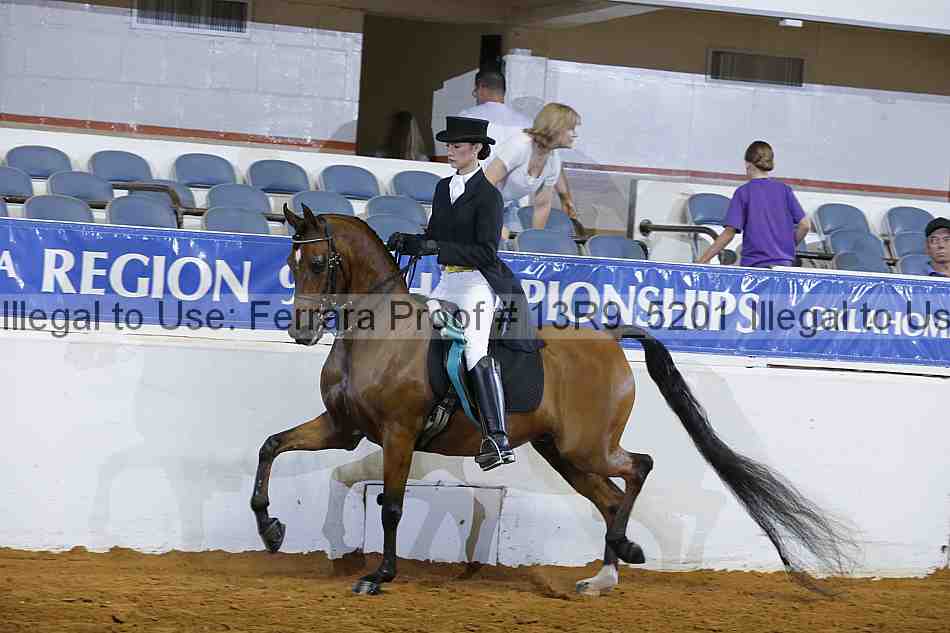 Proof Number 13r9_5201