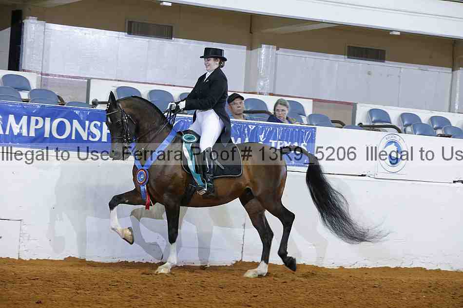 Proof Number 13r9_5206