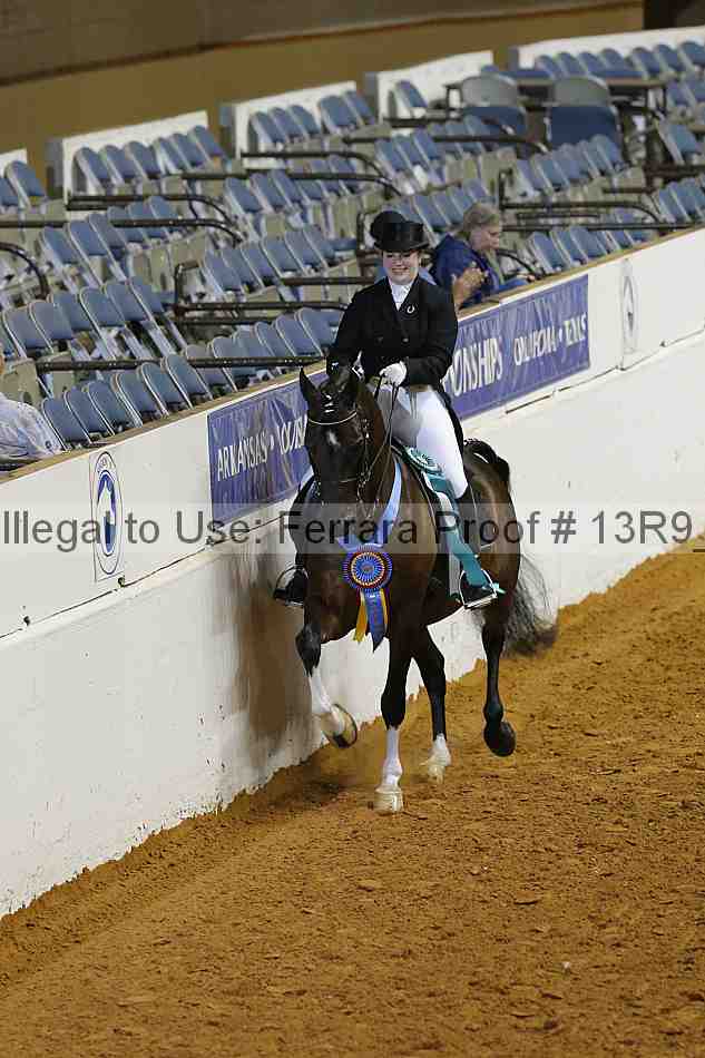 Proof Number 13r9_5207